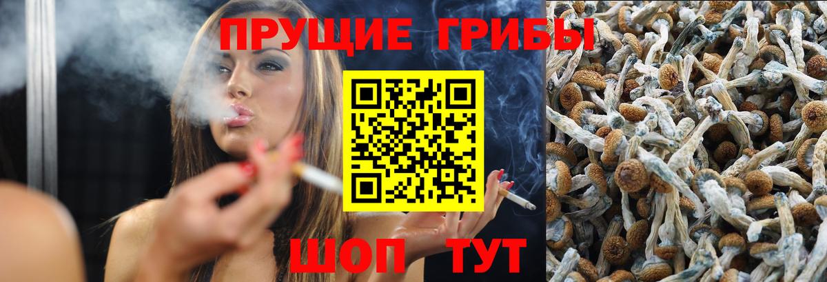 Кумертау  Галлюциногенные грибы Magic Shrooms  Псилоцибиновые грибы Magic Shrooms  Вход с VPN 